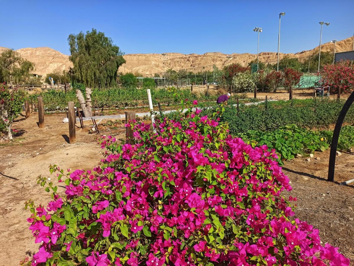 Kibbutz Ketura Guest House Nahal Ya'alon Bagian luar foto