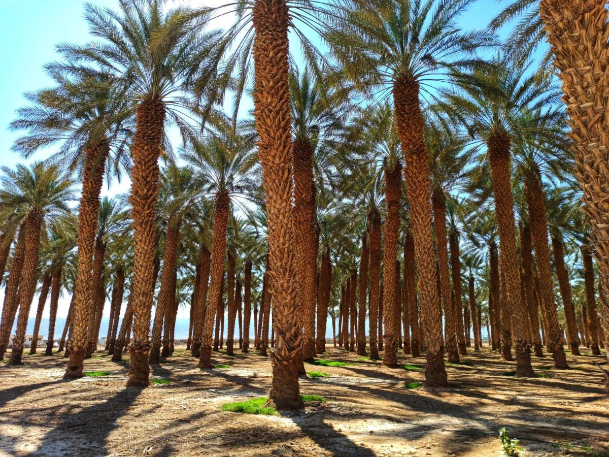 Kibbutz Ketura Guest House Nahal Ya'alon Bagian luar foto